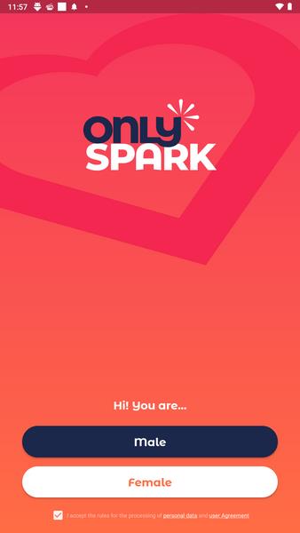 OnlySpark Screenshot 1 