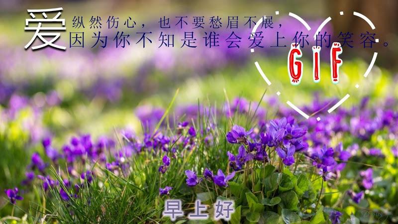 Good Morning Gif Chinese Wish Screenshot 5