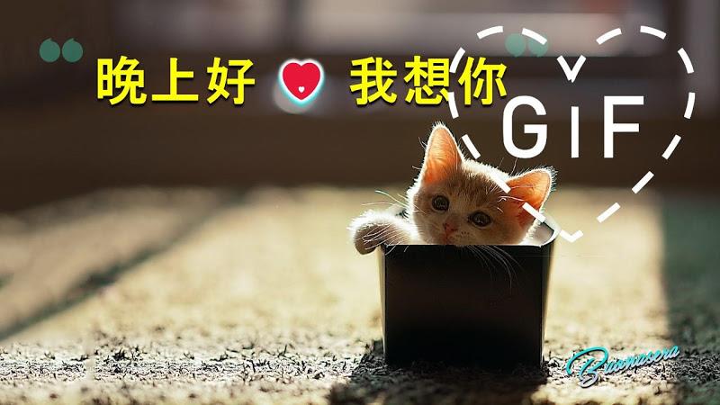 Chinese Good Morning Night Gif Screenshot 8