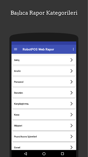 RobotPOS Web Rapor Screenshot 3 