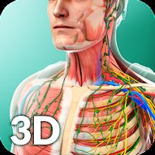 Human Anatomy APK