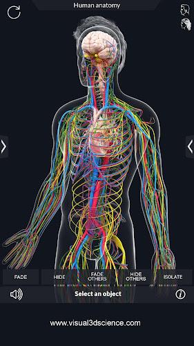 Human Anatomy Screenshot 8 