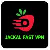 JACKAL FAST VPN APK