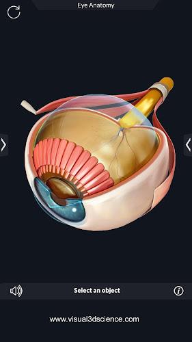 Human Anatomy Screenshot 11