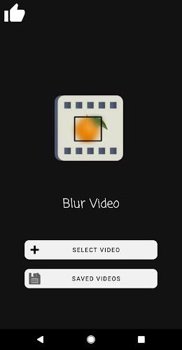 Blur Video, Censor Face/Object Screenshot 2