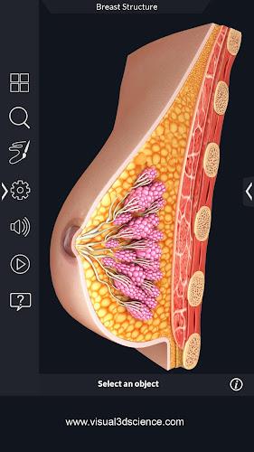 Human Anatomy Screenshot 14 