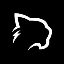 Puma Browser: fast & private APK