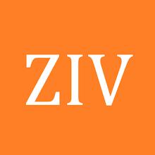 ZIVPN Tunnel (SSH/DNS) VPN APK