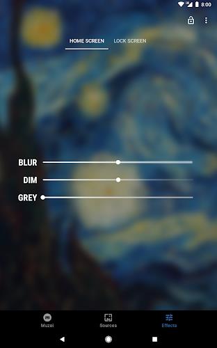 Muzei Live Wallpaper Screenshot 13 