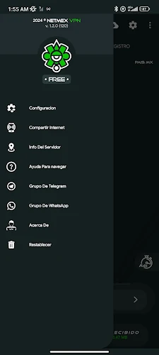 NetMx VPN Screenshot 2