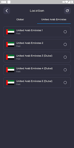 UAE VPN - Dubai VPN IP Proxy Screenshot 3