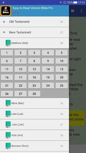 Easy to Read ERV Audio Bible Screenshot 7 