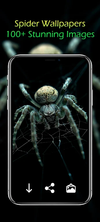 Spider Wallpapers Screenshot 3