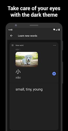 Learn Chinese with flashcards! Screenshot 5