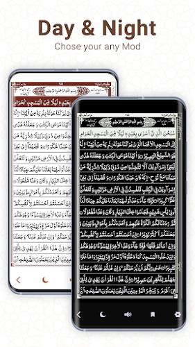 Quran Sharif 16Line:Holy Quran Screenshot 11 