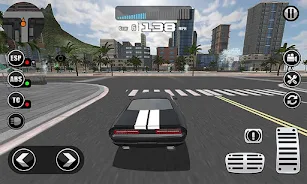 Fanatical Driving Simulator Screenshot 3