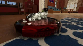 Cat Simulator : Kitty Craft Screenshot 24 