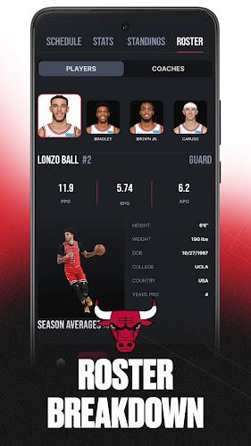 Chicago Bulls Screenshot 5