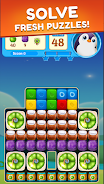 Toon Pet Crush:Toy Cube Puzzle Screenshot 8 