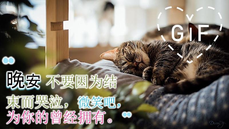 Good Night Gifs in Chinese Screenshot 5 