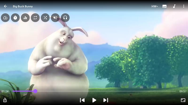 GV Video Player Screenshot 7 