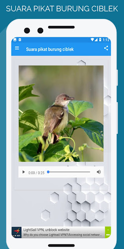 suara pikat burung ciblek Screenshot 3