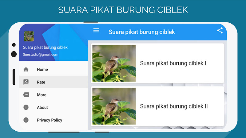 suara pikat burung ciblek Screenshot 4