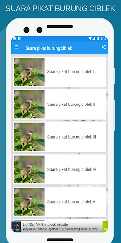 suara pikat burung ciblek Screenshot 2