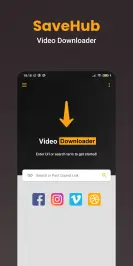 Video Downloader Hub Browser Screenshot 1 