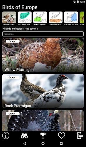 Birds of Europe Field Guide Screenshot 9