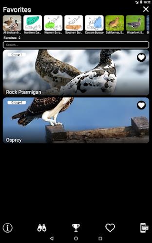 Birds of Europe Field Guide Screenshot 18