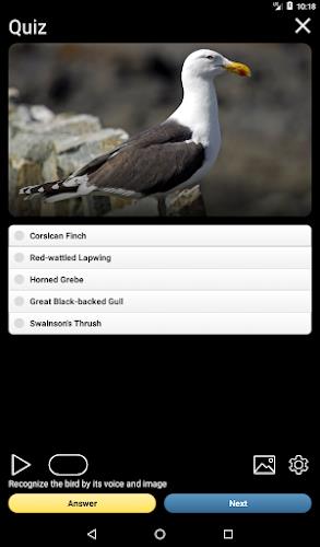 Birds of Europe Field Guide Screenshot 13 