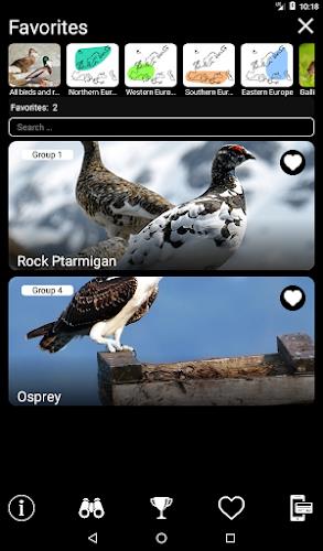 Birds of Europe Field Guide Screenshot 10