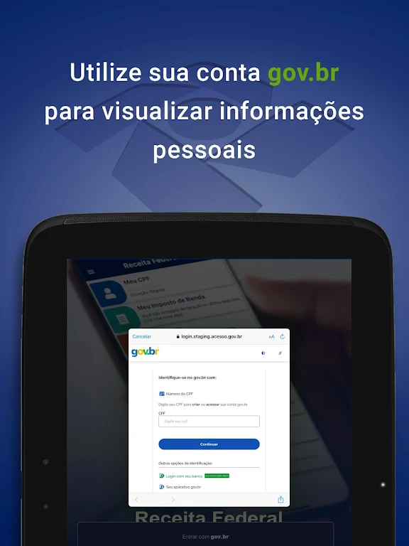 Receita Federal Screenshot 19