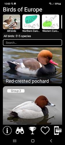 Birds of Europe Field Guide Screenshot 1 