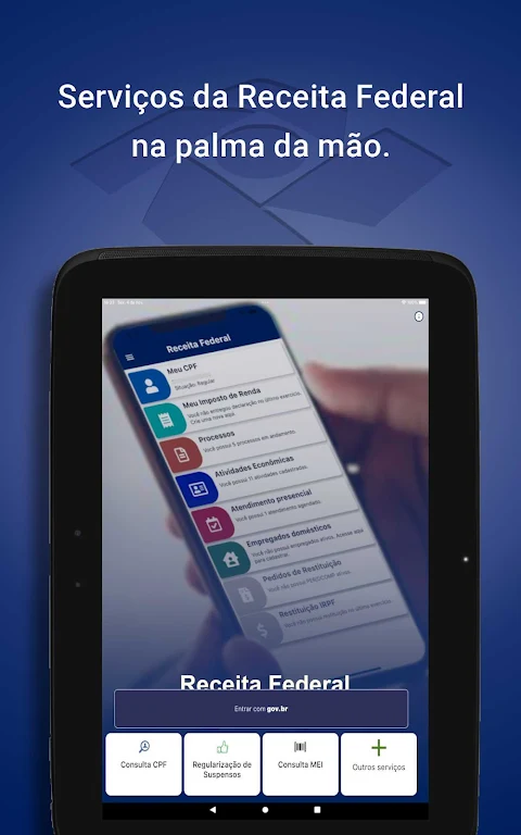 Receita Federal Screenshot 9