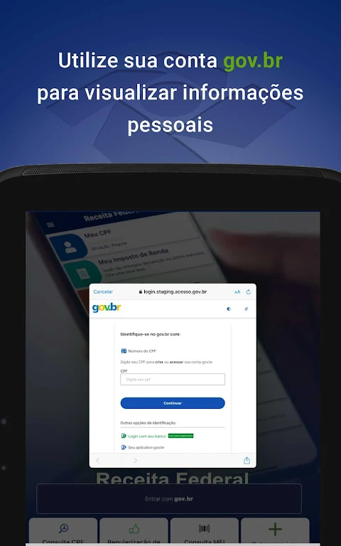 Receita Federal Screenshot 11