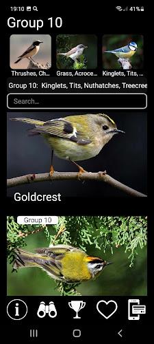 Birds of Europe Field Guide Screenshot 5 