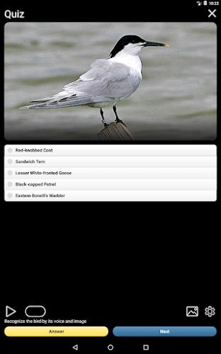 Birds of Europe Field Guide Screenshot 21