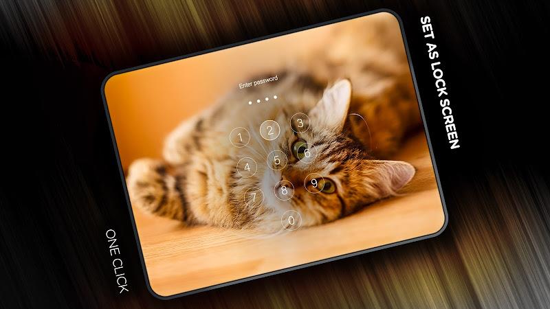 Cats Wallpapers in 4K Screenshot 17