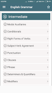 English Grammar Handbook Screenshot 2
