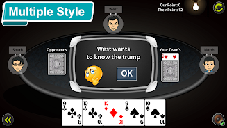 29 Card Game Screenshot 5 