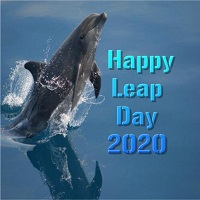 Happy Leap Day 2020 APK