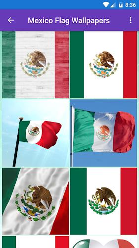 Mexico Flag Wallpaper: Flags a Screenshot 1