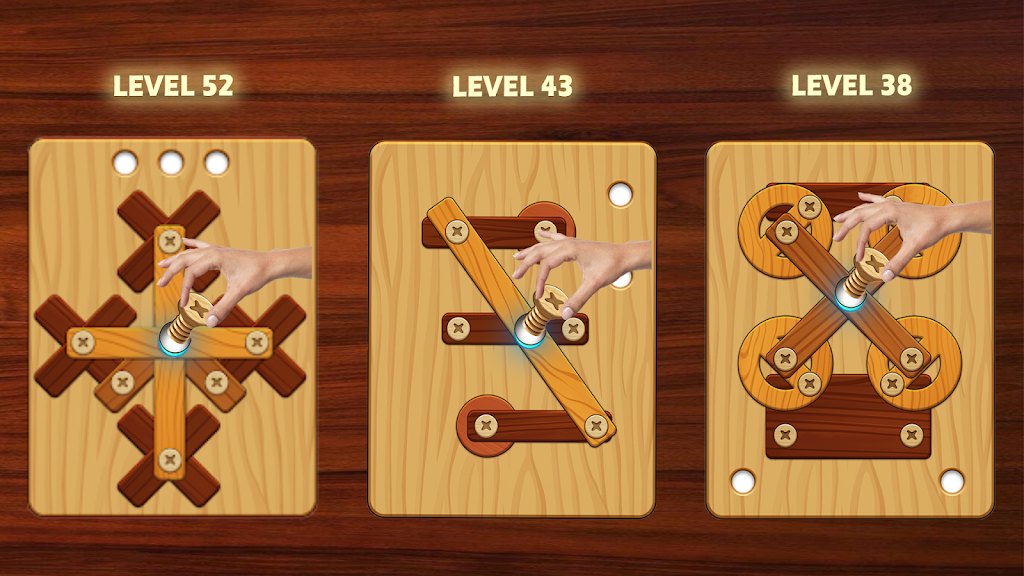 Nuts & Bolts Screw Puzzle Wood Screenshot 2