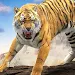 Lion Simulator 3d Animal Game APK