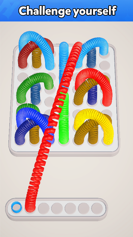 Slinky Jam 3D - Sort puzzle Screenshot 2