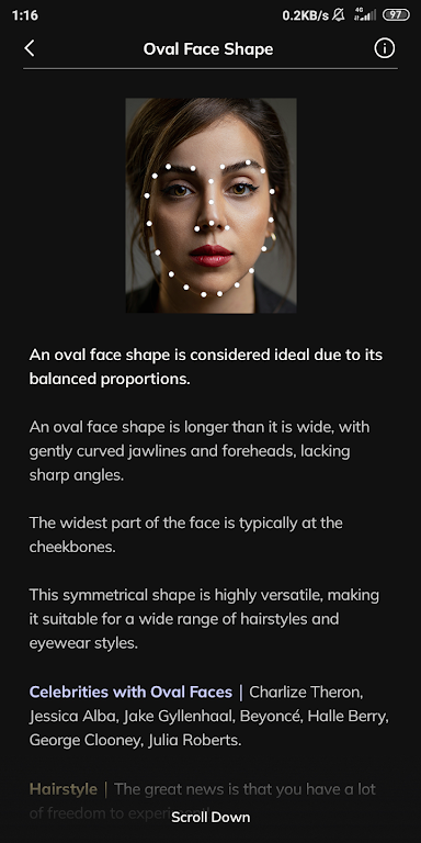 Face Shape Detector Screenshot 2