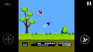 Duck Hunt Screenshot 6 