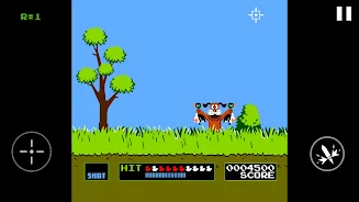 Duck Hunt Screenshot 8 